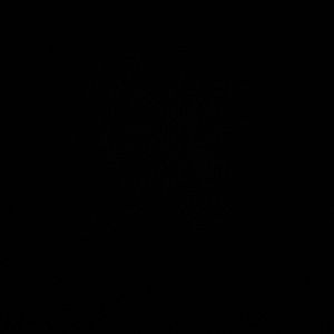 Meet your Posher, Mabel